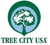 tree city