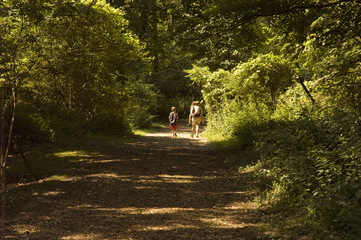 Corbett's Glen Nature Park Trail.