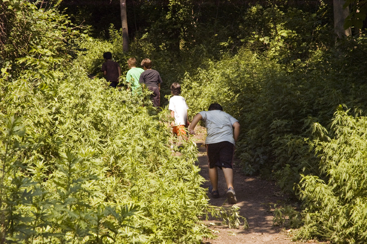 Kids choosing a trail at Corbett's Glen Nature Park.