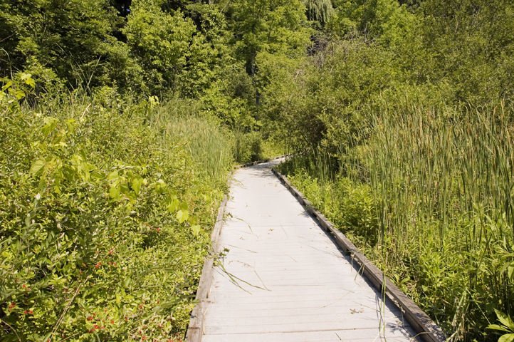 Corbett's Glen Nature Park Trail pathway.