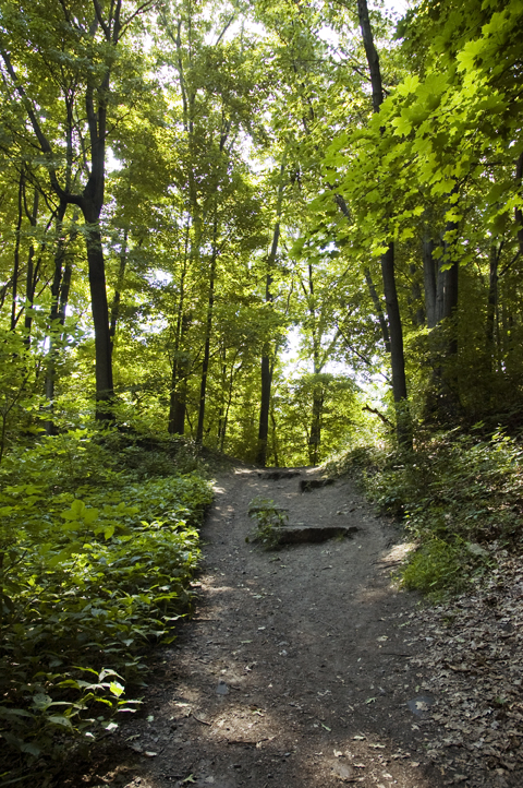 Trail at Corbett's Glen Nature Park.
