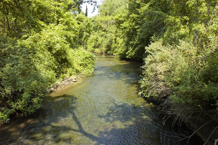 Allen's Creek at Corbett's Glen Nature Park.