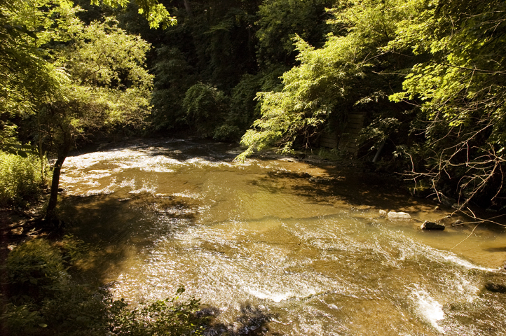 Allen's Creek at Corbett's Glen Nature Park.